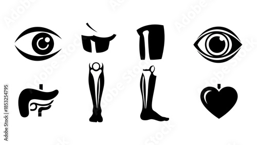 Medical anatomy silhouettes eyes heart liver and leg illustrations
