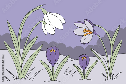 Snowdrop Flowers Illustration on Purple Background