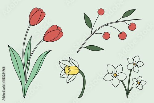 Spring Tulip and Wildflower Botanical Illustration