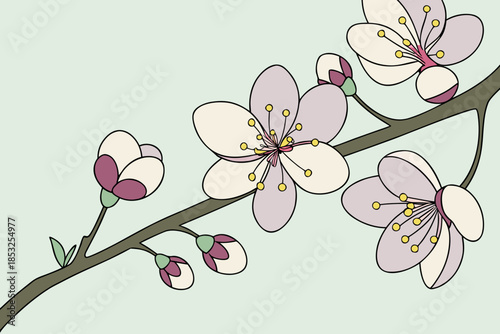 Blossom Branch Illustration with White Spring Flowers
