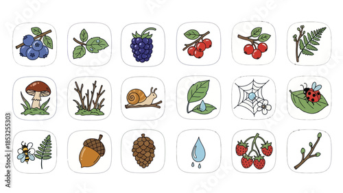 Set of nature icons berries leaves and forest elements illustrations