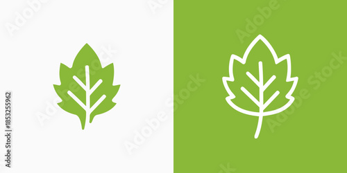 Oak leaf vector logo design with modern, simple, clean and abstract style.