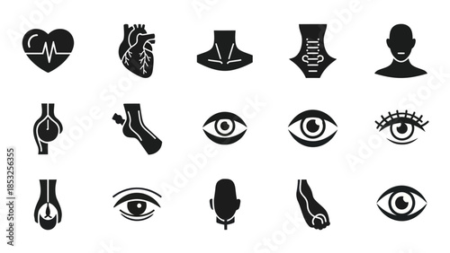 Medical icons heart organs body parts anatomical illustrations health concepts