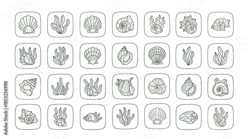 Tableau sur toile Set of various seashells and seaweed icons in square frames for design
