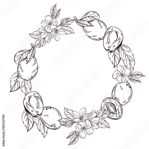 A wreath of fruits, prunes, plums and tree leaves. All objects are hand-drawn in vector. The illustration is perfect for printing on paper and fabric, dishes.
