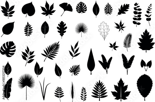 Collection of leaf silhouettes isolated on transparent background