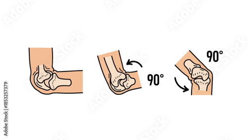 Medical illustration of an elbow joint demonstrating movement angles