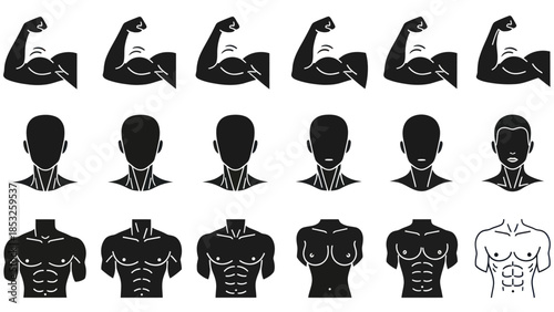 Muscular body silhouettes with biceps flexed and detailed torso views
