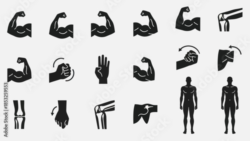 Muscular human body and joint icons fitness health and bodybuilding