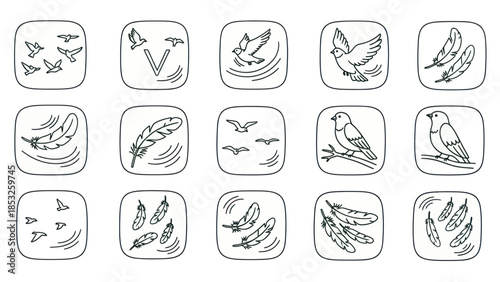 Set of bird icons and feather designs in monochrome style for design