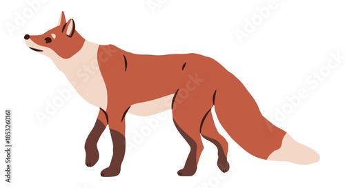Woodland wild fox. Forest realistic animal wildlife nature isolated character zoo woodland inhabitant, cartoon nest vector illustration