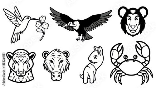 Set of black and white animal illustrations bird bear crab and more