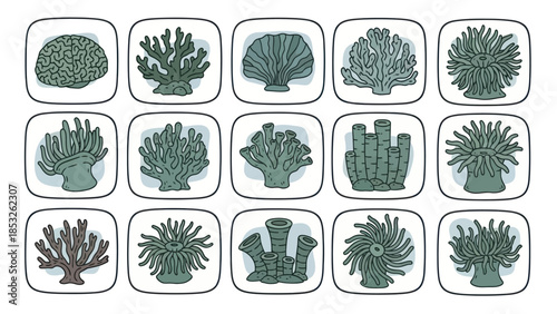 Variety of illustrated coral reef plants on white background isolated