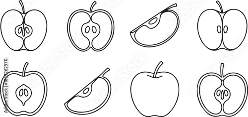Line apple set. Sketch sliced apples collection. Hand-drawn slices, whole and half linear fruits. one line Art icon drawing