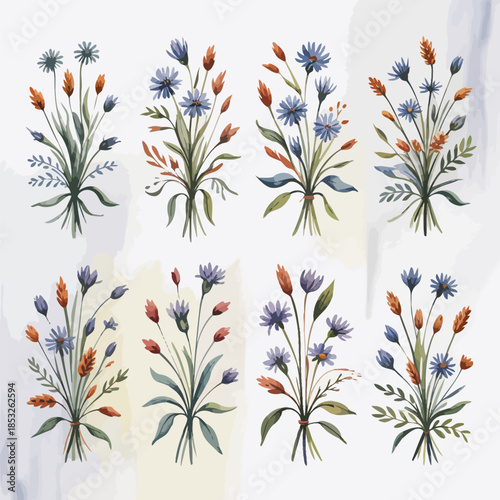 Vibrant Blue and Orange Wildflowers on White Background
