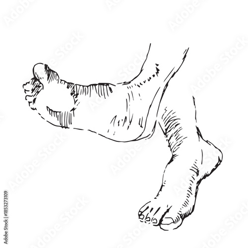 Ankle Extension and Foot Flexing Mobility Exercise