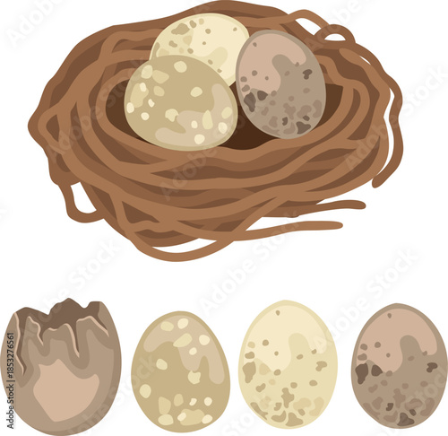 Hand-drawn spring Easter illustrations of a bird nest with eggs, separate eggs and cracked eggshell