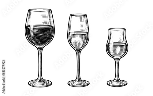 Elegant wine and champagne glasses in detailed engraving style art