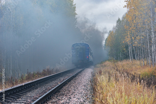 Steam retro train moves in the autumn forest.