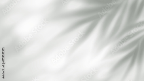 Summer palm leaf shadow with blurred tropical foliage silhouette on transparent background, perfect for poster layouts and spring banner templates with natural light effects