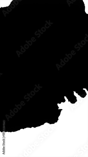 Organic Ink Drops on White