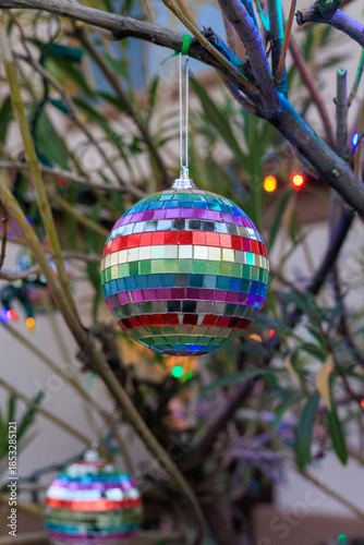 Rainbow-mirrored Disco Ball Ornaments Hanging from the Branches of an Oleander Tree which is also Adorned with a String of Colorful Lights