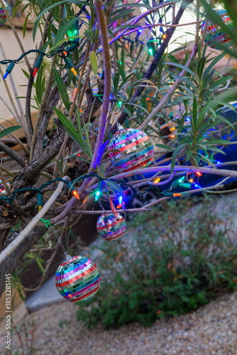 A Set of Rainbow-mirrored Disco Ball Ornaments Hanging from the Branches of an Oleander Tree which is also Adorned with a String of Colorful Lights