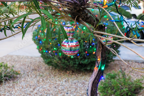 Rainbow-mirrored Disco Ball Ornament Hanging from a Tree above the Ground, Shallow DOF