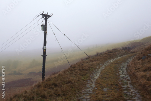 Power line in Mist II