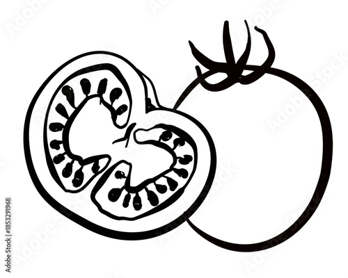 Hand drawn tomatoes vector illustration in doodle style isolated design.