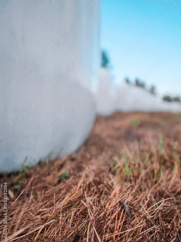 Obraz premium White plastic bale of hey are standing on a grass field in rural country side area. Farming and agriculture industry. Warm summer time mood and feel. Barn yard animal feed.