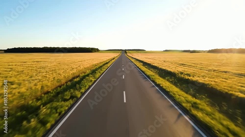 Soaring over a golden wheat field on a straight asphalt road towards the sunlit horizon