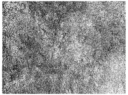 Grunge urban texture vector for background. Distressed dense overlay texture. Abstract gritty effect.