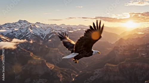 Majestic Eagle Soaring Above Mountain Peaks at Sunset.