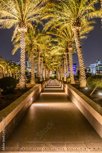Night view of a palm lined path to the Museum of Islamic Art in Doha, Qatar