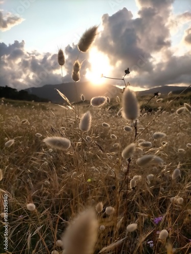 sunset colors in the Cantabrian coast in A Marina, Galicia, Spain