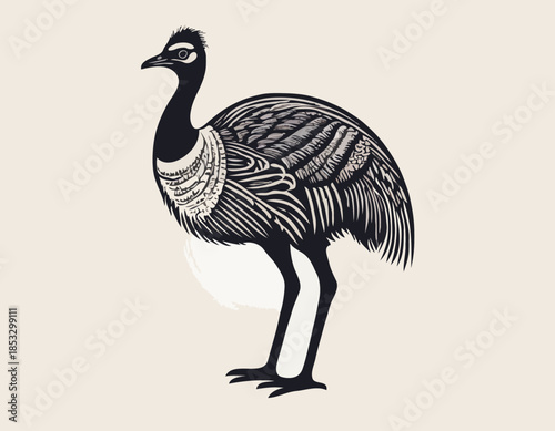 Artistic depiction of an emu bird in a stylized woodcut illustra