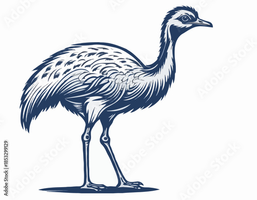 Artistic depiction of an emu bird in a stylized woodcut illustra