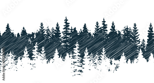 The spruce forest in the fog imitation of a hand drawing, vector sketch, isolated on a white background