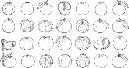 Black and White Line Art Illustrations of Various Oranges and Citrus Fruits, Vector Set
