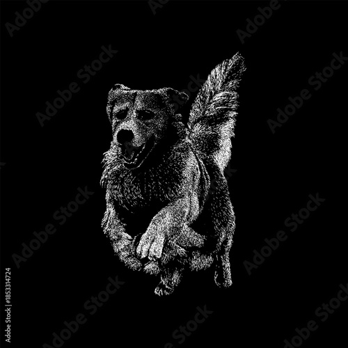 Running Goldador, capturing its energetic movement, athletic body, and loyal character with clean lines and detailed strokes, ideal for logos, apparel, prints, and stock design use.