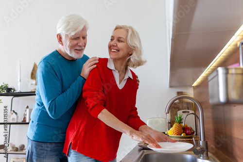 couple of elderly seniors are cleaning the kitchen and putting the dishes on the shelf, while grandma and grandpa are washing the dishes and doing housework together