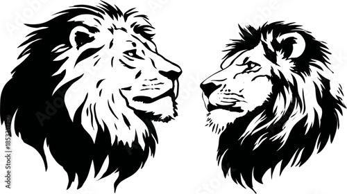 Pair of majestic male lion heads in profile, detailed black and white vector illustration showcasing strength and power.