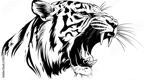 Fierce Roaring Tiger Head Illustration in Black and White. Powerful predatory animal graphic design with fangs.
