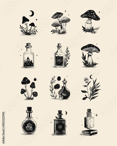 Individual retro style tarot card elements elegant whimsigoth such as mushrooms potion bottles moons and plants vintage retro black on solid white background
