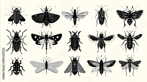 Simple vector illustration of insects clean minimalistic design strictly black and white colors only sharp lines no gradients white background modern and styl