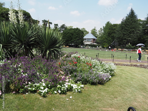 日比谷公園の風景
