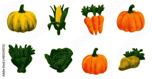 Playful Cartoon Harvest Vegetables in Autumn Style Isolated on Transparent Background