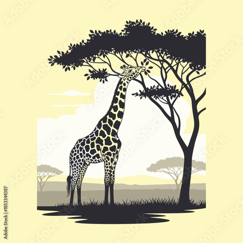 Giraffe eating leaves from tree.