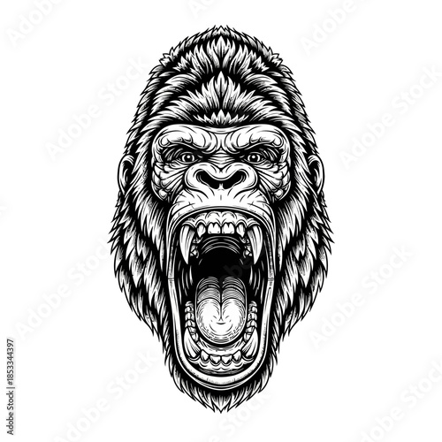 Gorilla Head with Open Mouth Illustration.